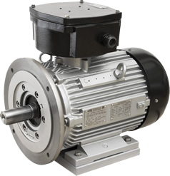 Motors for hazardous atmospheres