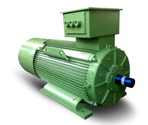 Medium Voltage Motors HVM – HVC Series