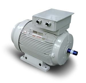 Cast Iron Motors and Generators from 225 to 400 – IE2 – IE3 EM Series