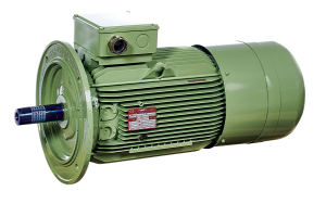 Self-braking motors M2AO-MAO / M3AY-M2Y Series