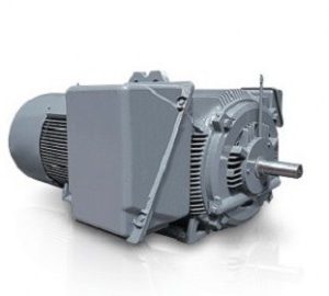 Low voltage customized motors