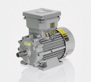 Simotics XP Motors